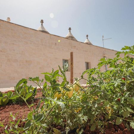 Villa Td I Coni Di Pinure Trulli With Scenic Valley View à Martina Franca Extérieur photo