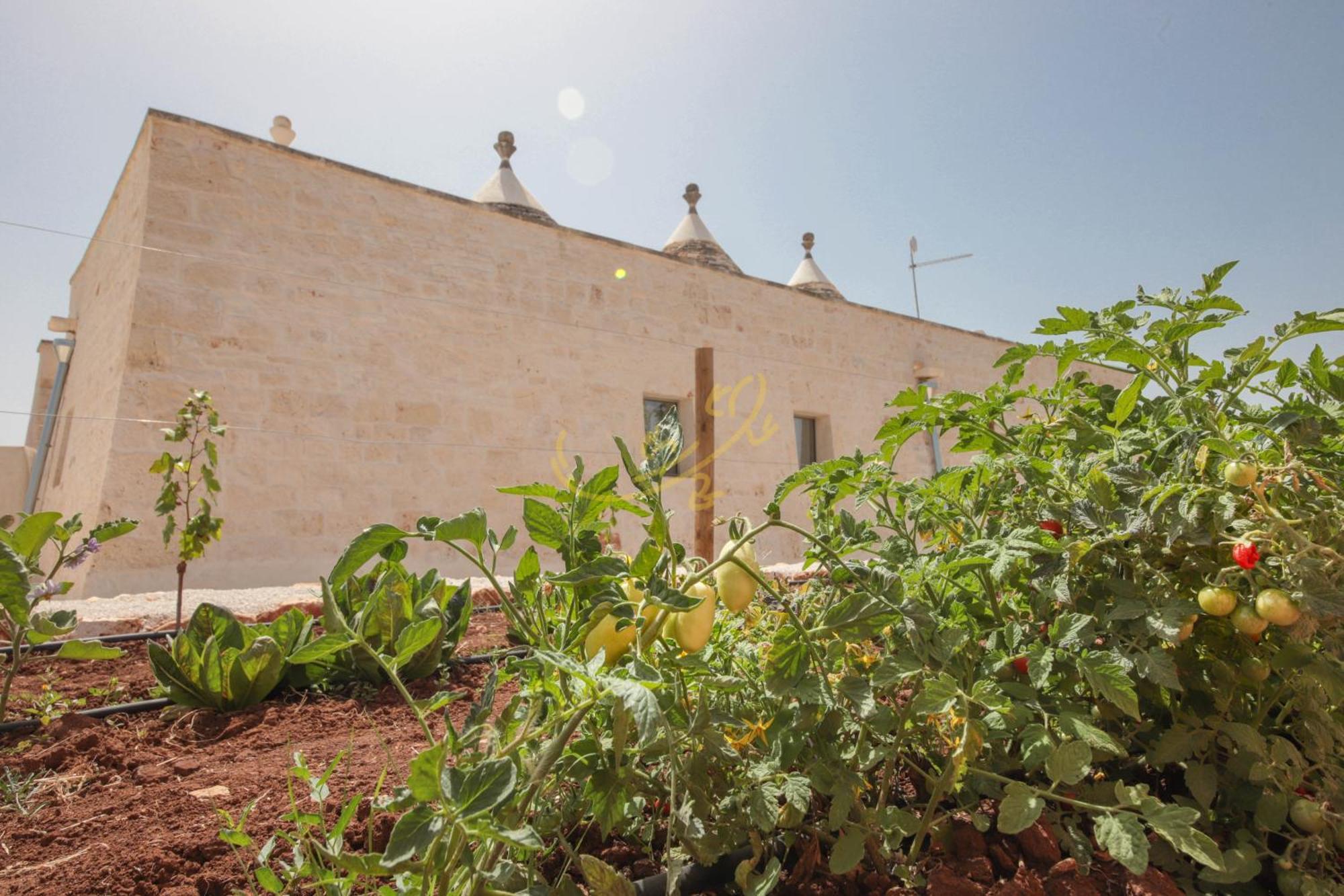 Villa Td I Coni Di Pinure Trulli With Scenic Valley View à Martina Franca Extérieur photo